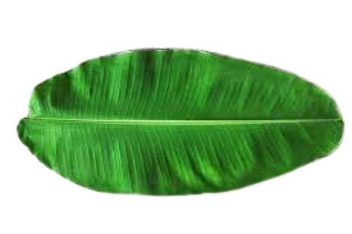 BANANA LEAVES LONG EACH