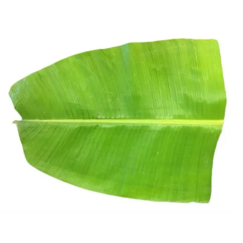 BANANA LEAVES 2PC