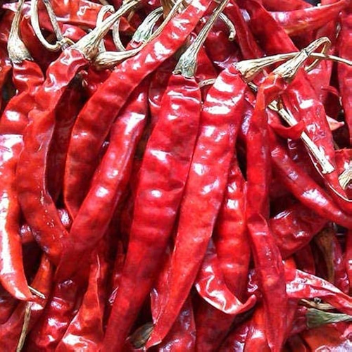 INDIA BAZAAR Whole Chili’s