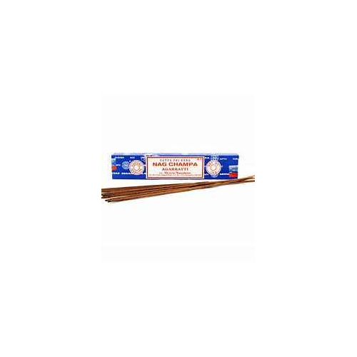 Sai Baba Nag Chamba