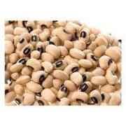 BLACK EYE PEAS IB
