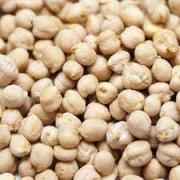KABULI CHANA IB