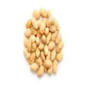 SOYA BEAN ROASTED (NO SALT) IB