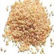 CRACKED WHEAT1(BULGER) IB