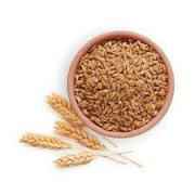 WHOLE WHEAT IB