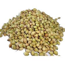 CORIANDER SEED INDIA BAZAAR