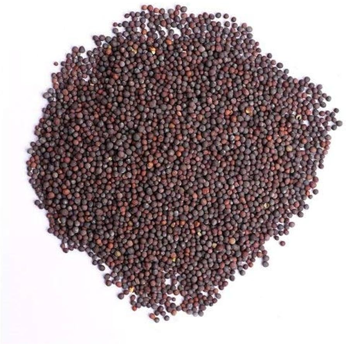 INDIAN BAZAAR Mustard Seeds