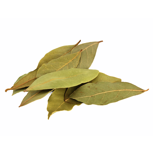 Gm Bay Leaves