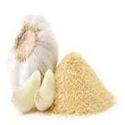 GARLIC POWDER GM