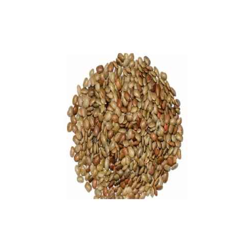 SWETHA TELUGU Telugu Horse Gram