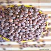 DESI MASOOR WHOLE GRAIN MARKET