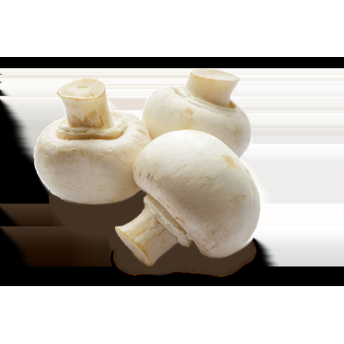 SOUTH MILL FRESH MUSHROOM WHOLE