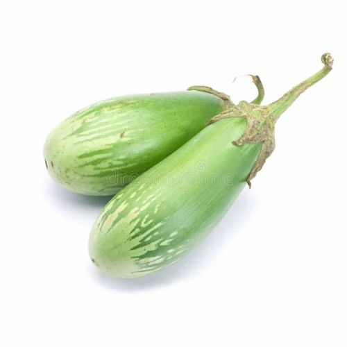 GREEN LONG EGGPLANT