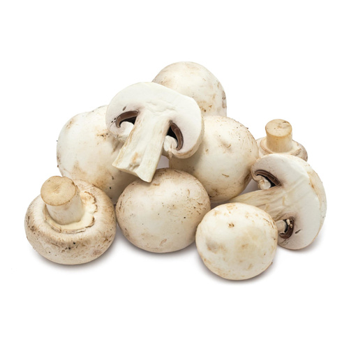 MUSHROOM WHOLE