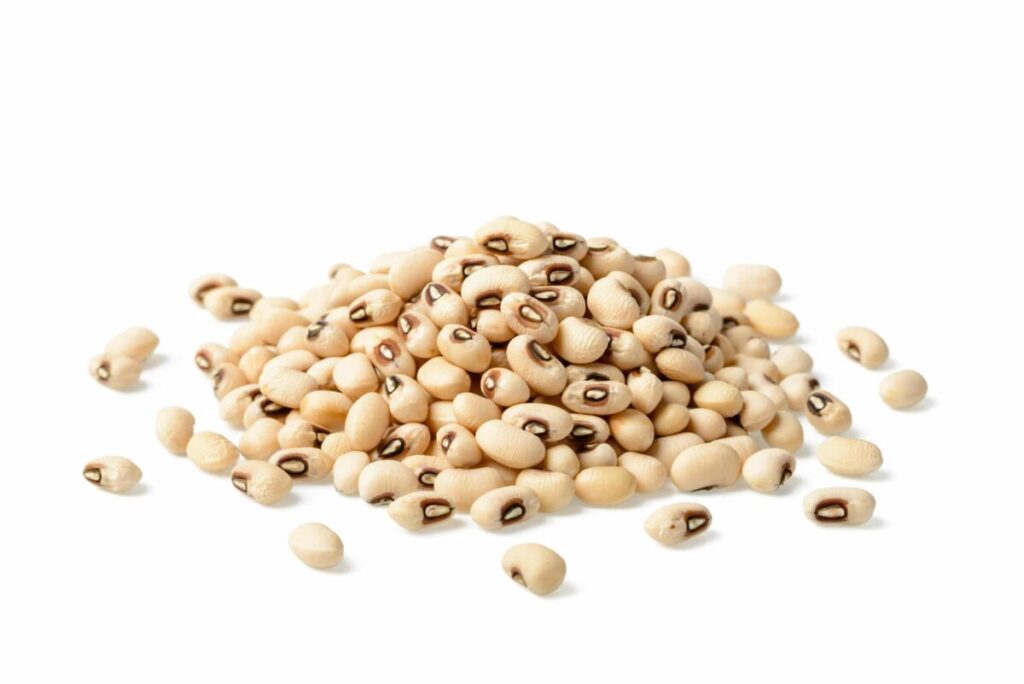 BLACK EYE PEAS INDIA BAZAAR