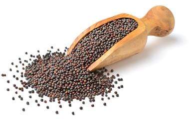 BIG MUSTARD SEED GRAIN MARKET