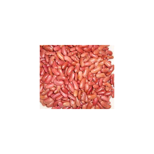 RED KIDNEY BEANS (LIGHT) GRAIN MARKET