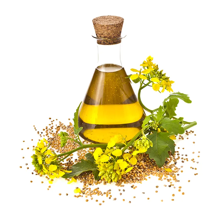 CANOLA OIL GRAIN MARKET