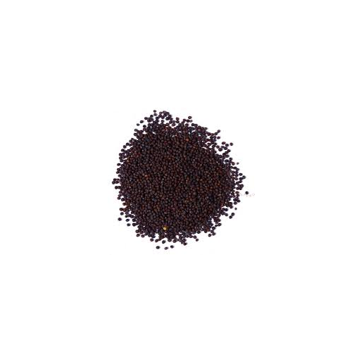 INDIABAZAAR BIG MUSTARD SEEDS