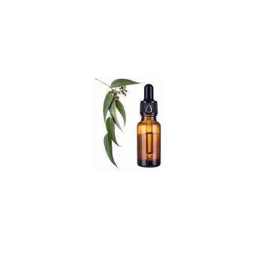 Eucalyptus Oil