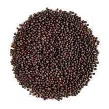 Vedic Organic Mustard Black 200 GM