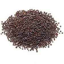 Grain Market Mustard Seeds Big 400 GM