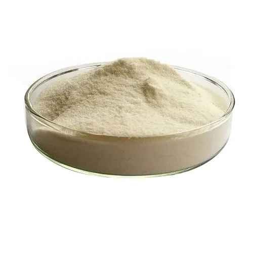 KALUSTYANS GUM ARABIC POWDER 0.44 Lbs