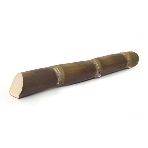 Sugarcane