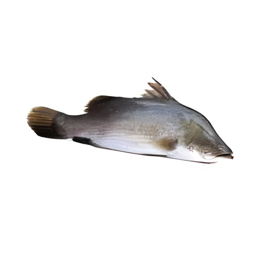KORAL FISH 500 GM