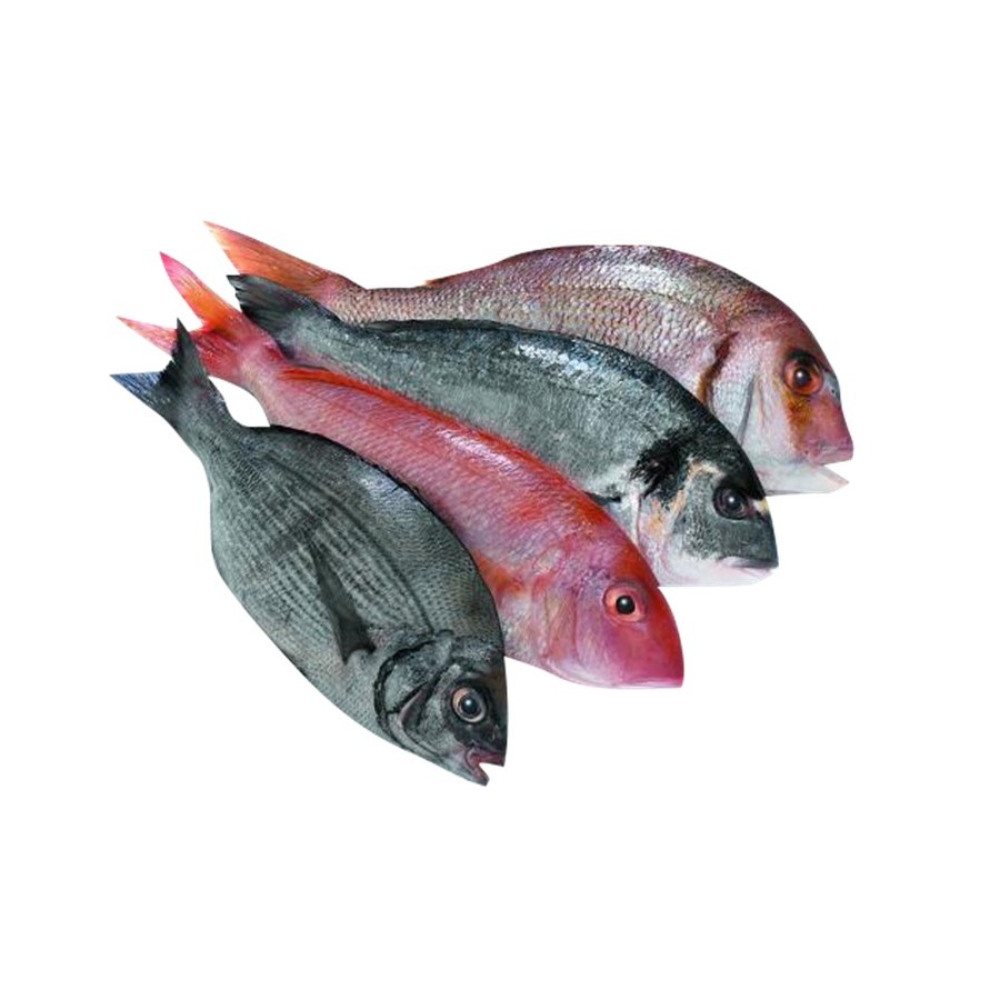 MIXED FISH 500 GM