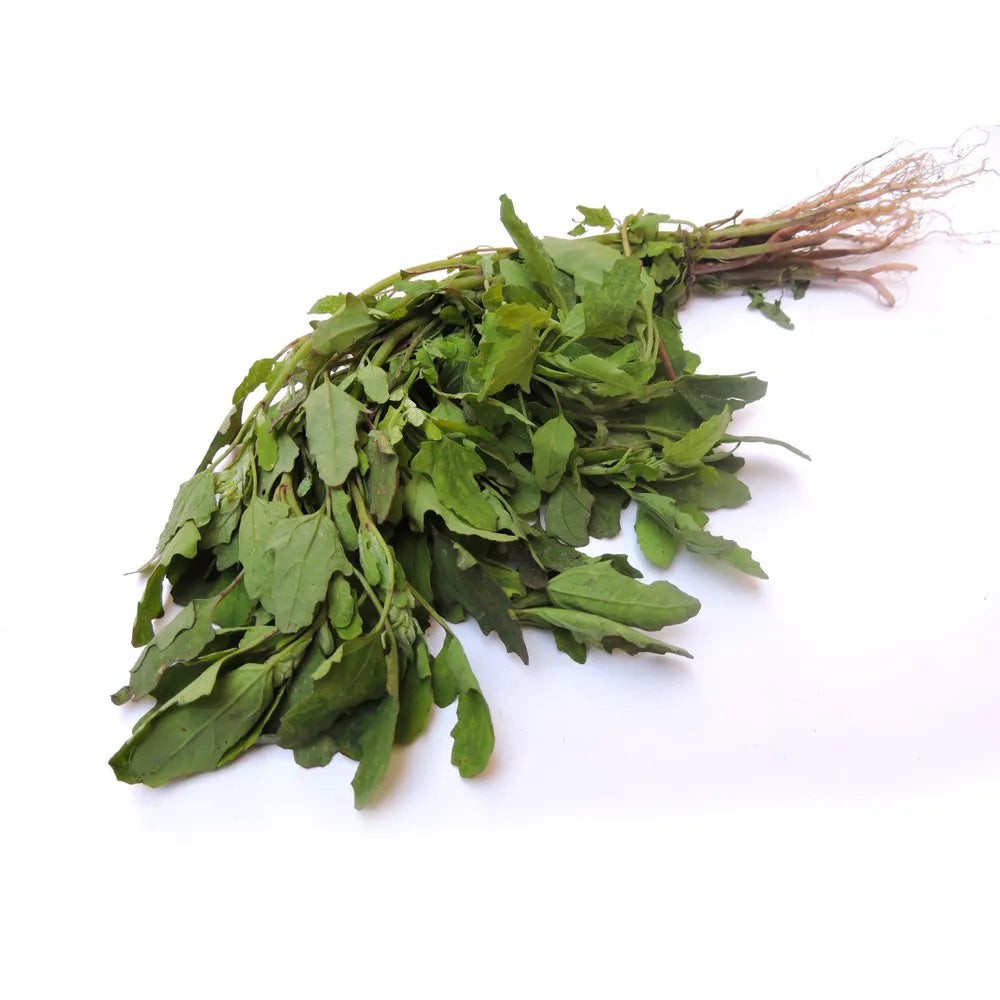 Batu Leaves 1 BUNCH