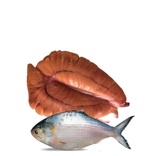 TIGER HILSHA EGG 250 GM