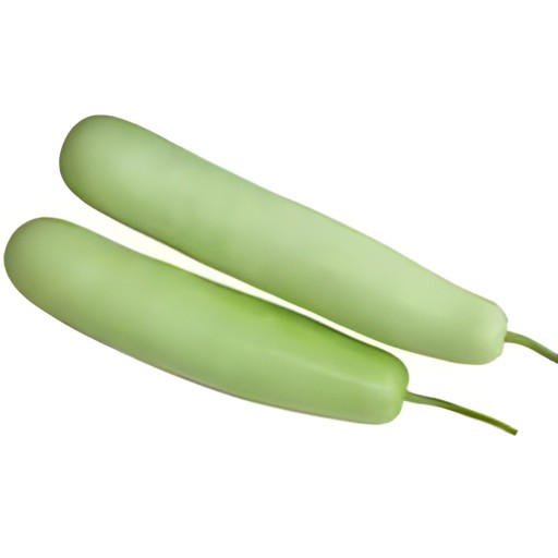 Indian Long Squash 1 LBS