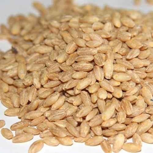 KALUSTYANS HULLED BARLEY 2 Lbs