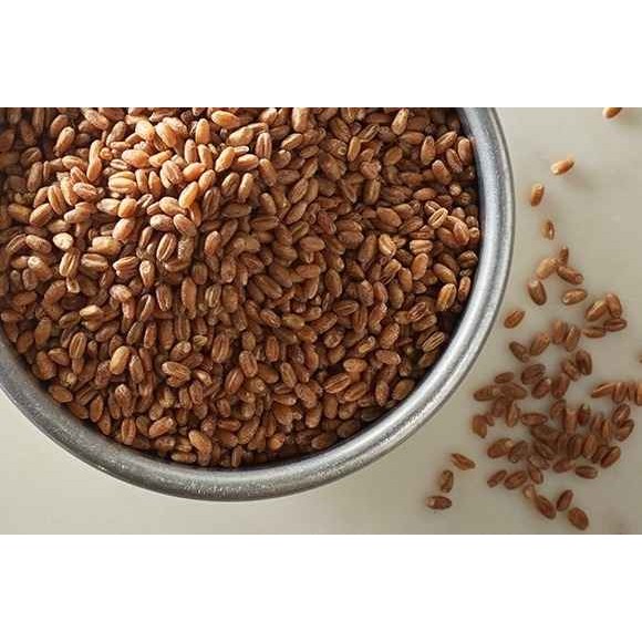 KALUSTYANS SHELLED PEARLED WHEAT BERRIES DZEDZADZ 1 Lbs