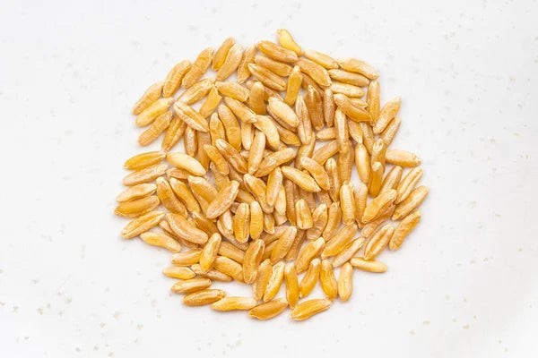 KALUSTYANS TURANICUM WHEAT ORGANIC 1 Lbs