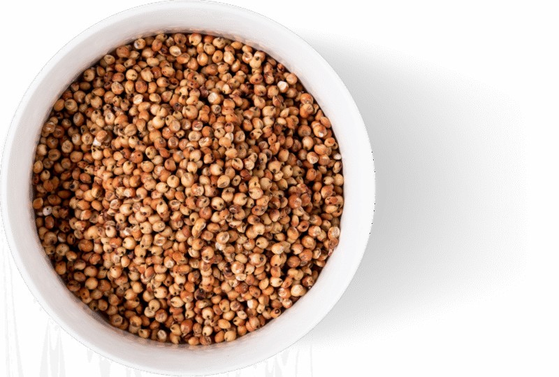 KALUSTYANS POPPED BURGUNDY SORGHUM 0.38 Lbs