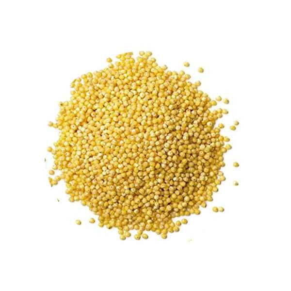 KALUSTYANS RAGI FINGER MILLET 2 Lbs