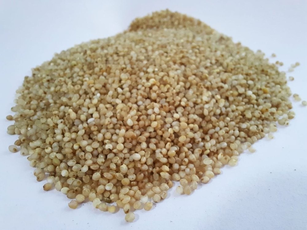 KALUSTYANS BARNYARD MILLET 1 Lbs