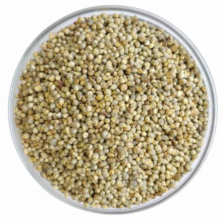 KALUSTYANS PEARL MILLET (BAJRA) 1 Lbs