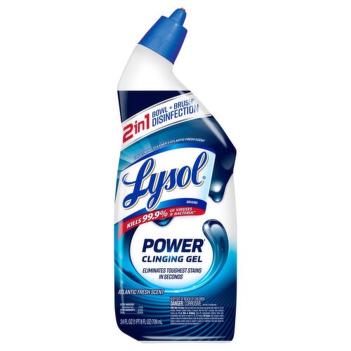 LYSOL BWL CLN POWR 24 OZ
