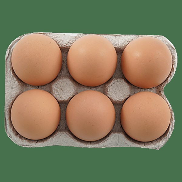 Organic Brown Egg 24 PCS