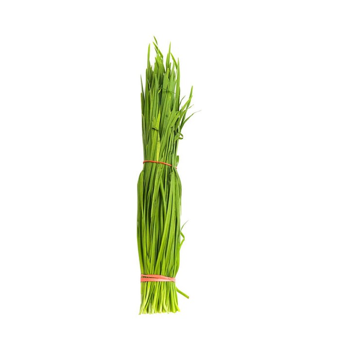 Chive 1 LBS