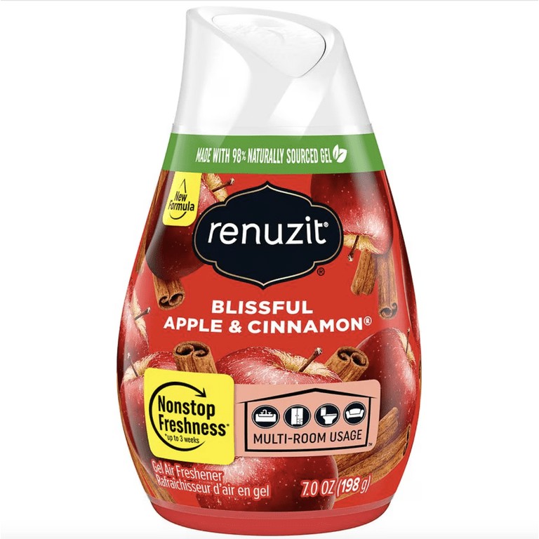 Renuzit 1 EACH