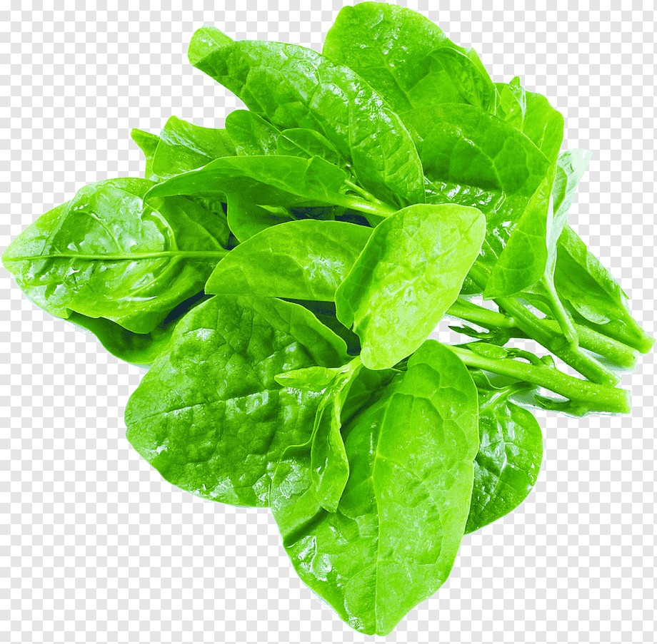 Poea Leaves 1 BUNCH
