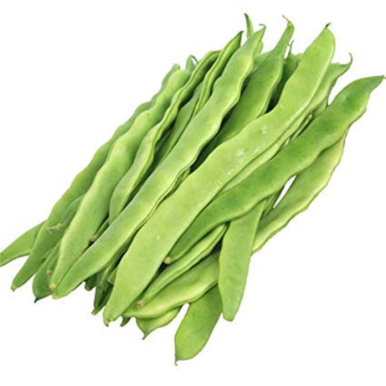 Long Beans/Romano Beans 1 Lbs