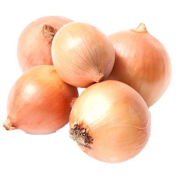 Onion Yellow 25 LBS