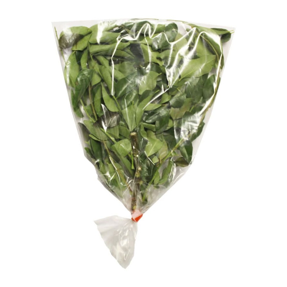 Curry Leaves 1 BUNCH