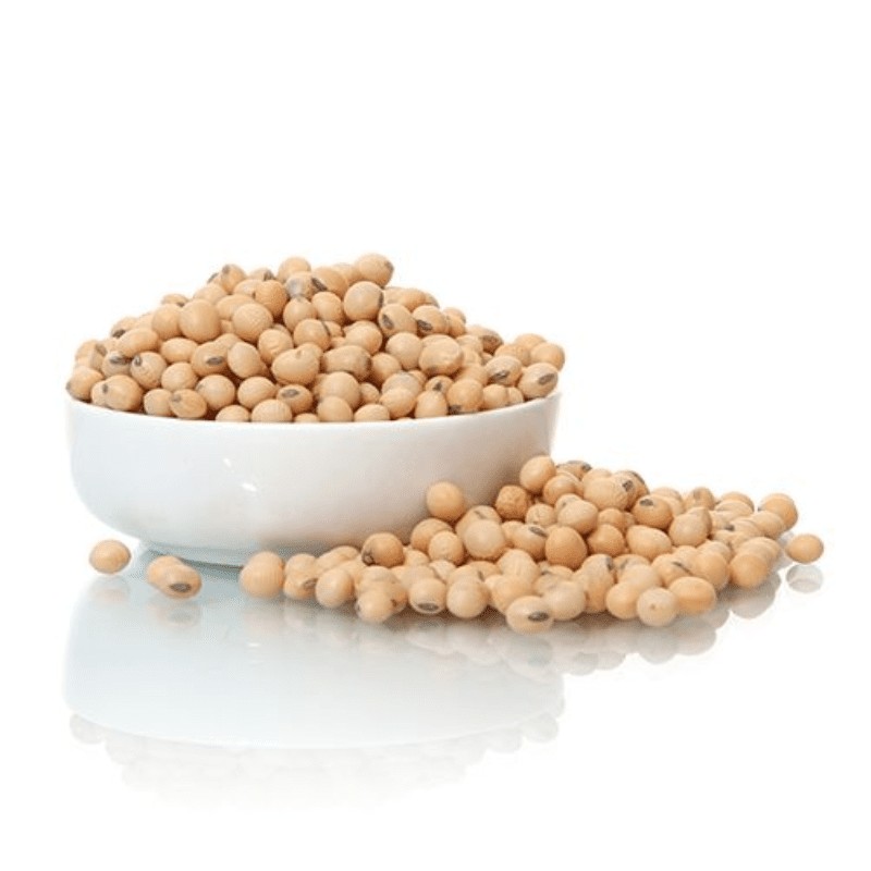 SOYA BEANS 4 LBS