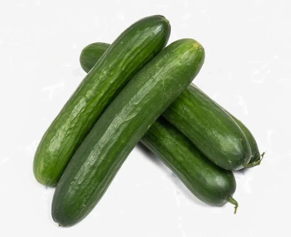 Cucumber Cnt 1 Count